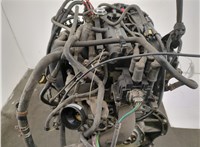  Форсунка топливная Ford Focus 1 1998-2004 11471431 #8