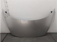 651008842R Капот Renault Scenic 2009-2012 20545404 #1