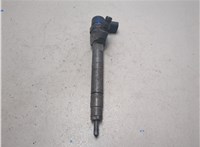 A6480700287, 0445110171 Форсунка топливная Mercedes S W220 1998-2006 20545554 #6