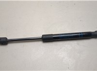 51237397493, 7397493 Амортизатор капота BMW X3 G01 2017-2024 20545666 #1