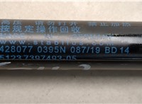 51237397493, 7397493 Амортизатор капота BMW X3 G01 2017-2024 20545666 #2