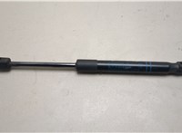 51237397493, 7397493 Амортизатор капота BMW X3 G01 2017-2024 20545667 #1