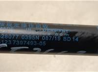 51237397493, 7397493 Амортизатор капота BMW X3 G01 2017-2024 20545667 #2