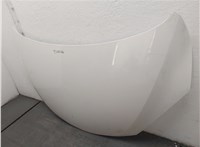  Капот Mazda 2 2007-2014 20545876 #11