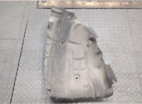 638450924R Защита арок (подкрылок) Renault Scenic 2009-2012 20547038 #1