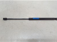 5344069055 Амортизатор капота Lexus GX 2002-2009 20547341 #1