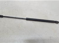 5344069055 Амортизатор капота Lexus GX 2002-2009 20547341 #2