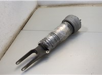  Амортизатор подвески Porsche Panamera 2009-2016 20547381 #3