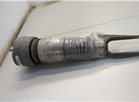  Амортизатор подвески Porsche Panamera 2009-2016 20547388 #1