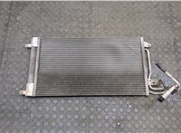  Радиатор кондиционера Seat Ibiza 3 2001-2008 20548030 #1