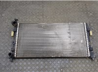  Радиатор охлаждения двигателя Seat Ibiza 3 2001-2008 20548093 #1