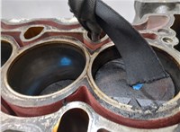 11117536184, 7536184 Блок цилиндров (Шорт блок) BMW 3 E90, E91, E92, E93 2005-2012 20548376 #6