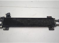  Радиатор АКПП Chrysler Pacifica 2003-2008 20548571 #1
