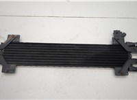  Радиатор АКПП Chrysler Pacifica 2003-2008 20548571 #2