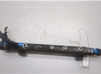  Рампа (рейка) топливная KIA Ceed 2007-2012 20548714 #1