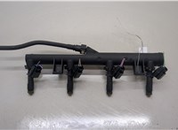  Форсунка топливная Citroen C4 Grand Picasso 2006-2013 20548888 #1