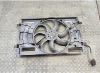  Вентилятор радиатора Skoda Octavia (A7) 2013-2023 20549038 #1
