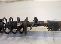 FB5318K001, FB5Z18124W Амортизатор подвески Ford Explorer 2015-2019 20549196 #5