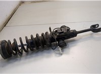 37116796926, 6796926, 31336786768, 6786768 Амортизатор подвески BMW 7 F01 2008-2015 20549279 #1