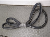 Уплотнитель Volkswagen Passat 6 2005-2010 20549282 #1