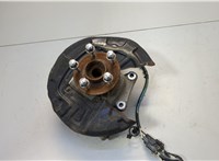DG9Z1109C, HG9Z5B759B, E1GZ2C028B Ступица (кулак, цапфа) Ford Fusion 2017-2020 USA 20549559 #1