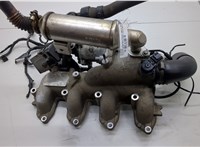  Коллектор впускной Ford Transit (Tourneo) Connect 2002-2013 20549636 #1