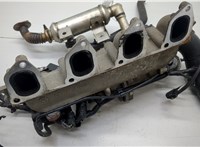  Коллектор впускной Ford Transit (Tourneo) Connect 2002-2013 20549636 #4