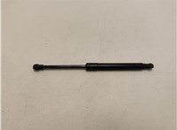  Амортизатор капота BMW 5 E60 2003-2010 20549828 #1