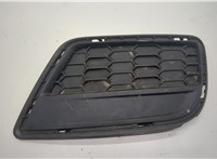 51117249596 Заглушка (решетка) бампера BMW X3 F25 2010-2017 20549854 #1