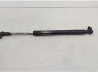74145SJA305 Амортизатор капота Acura RL 2004-2012 20550282 #1