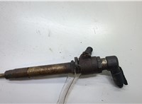 LR006495 Форсунка топливная Land Rover Range Rover Sport 2005-2013 20550440 #1