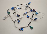 2464900122 Электропроводка Lexus LS460 2006-2017 20550505 #1