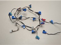 2464900122 Электропроводка Lexus LS460 2006-2017 20550505 #2