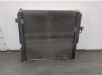 EU2Z19712A Радиатор кондиционера Ford Explorer 2001-2006 20549415 #1