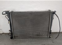 253100A180 Радиатор охлаждения двигателя Hyundai Sonata 5 NF 2005-2010 20550545 #1