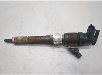 55192096 Форсунка топливная Fiat Panda 2003-2012 20551119 #1