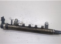 LR001321 Рампа (рейка) топливная Land Rover Freelander 2 2006-2014 20551196 #1