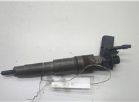 13537792721, 13537809193 Форсунка топливная BMW 7 E65 2001-2008 20552036 #1