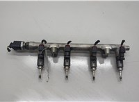 04E906036AD, 05E133320 Форсунка топливная Audi A3 (8V) 2012-2020 20552062 #1