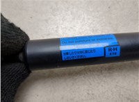 6895049025 Амортизатор крышки багажника Toyota Highlander 1 2001-2007 20552159 #2