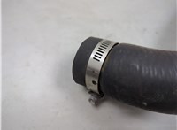 8L2Z8260B Патрубок охлаждения Ford Explorer 2006-2010 20552161 #3