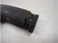 8L2Z8260B Патрубок охлаждения Ford Explorer 2006-2010 20552161 #4