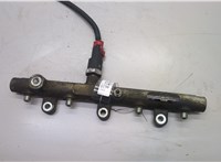  Рампа (рейка) топливная Peugeot 306 1993-2002 20552203 #1