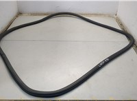 DS7Z5420530C Уплотнитель Ford Fusion 2017-2020 USA 20552567 #1