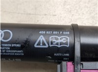 4G8827851F Амортизатор крышки багажника Audi A7 2010-2018 20552674 #2