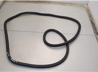 97053627600 Уплотнитель Porsche Panamera 2009-2016 20552880 #1