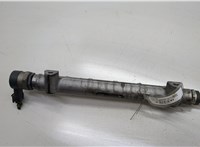  Рампа (рейка) топливная KIA Ceed 2007-2012 20552974 #4