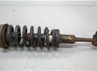  Амортизатор подвески Ford Explorer 2001-2006 20553038 #1