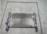  Радиатор охлаждения двигателя Opel Meriva 2003-2010 20553101 #1