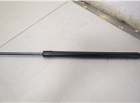 7L2478406A10AA, 6L2Z16C826C Амортизатор капота Ford Explorer 2006-2010 20553257 #1